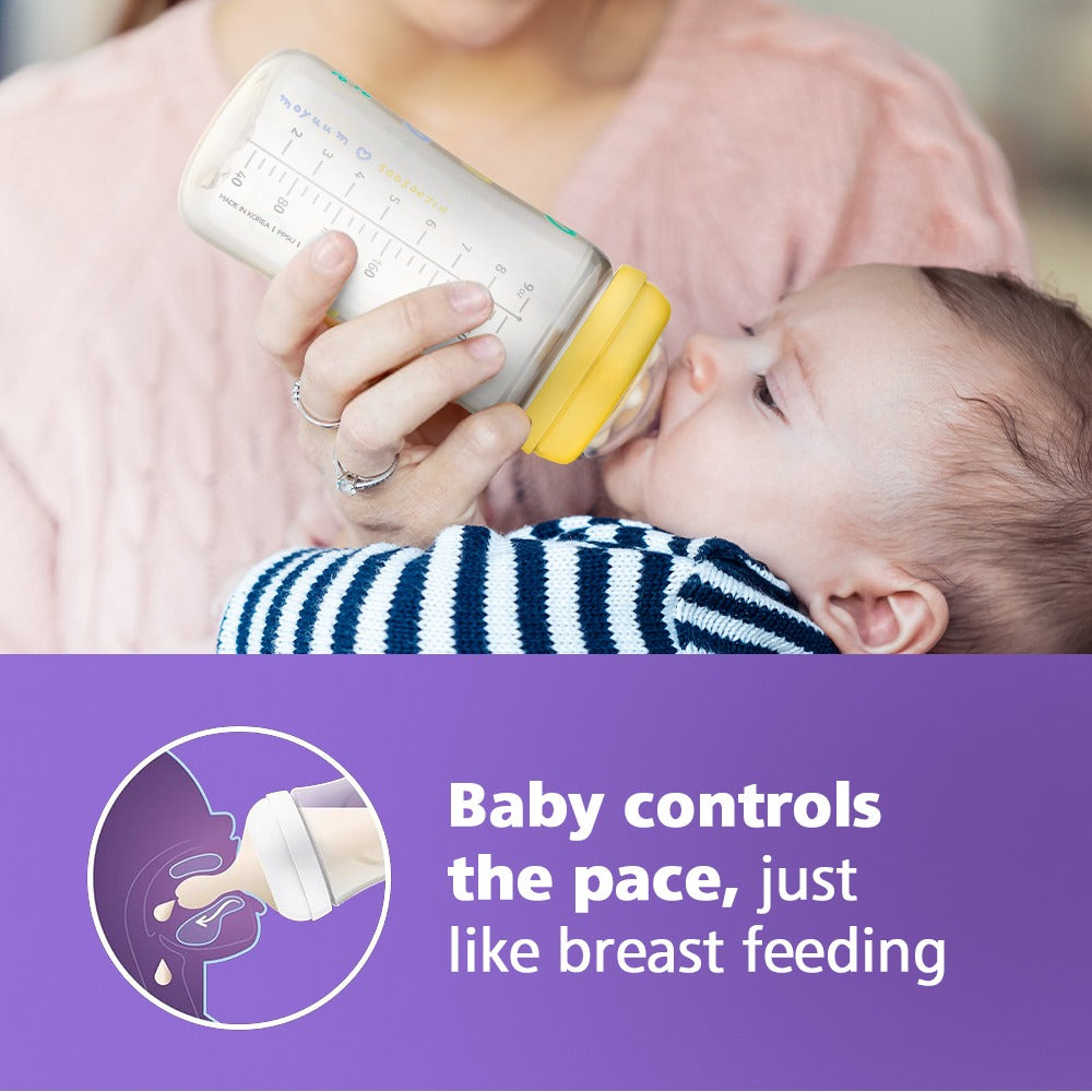 PPSU All-in-one baby bottle nipple 270ml (3+ Months) Triple Pack Withcat Edition (Purple)